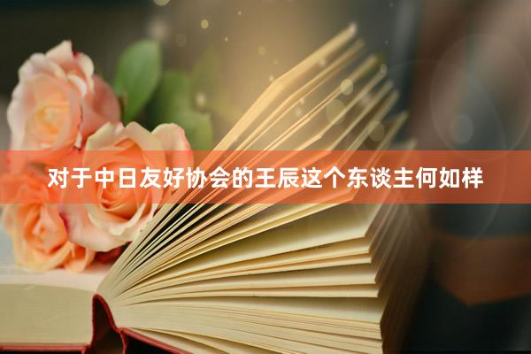 对于中日友好协会的王辰这个东谈主何如样
